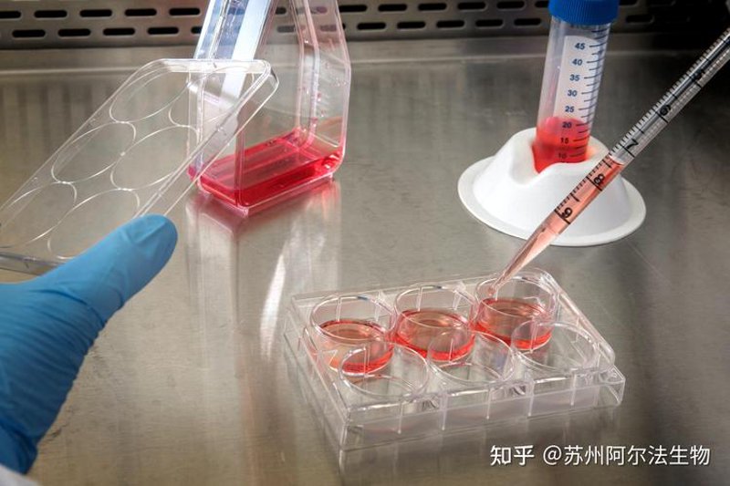 探索生物科技前沿:无锡公司引领行业新篇章