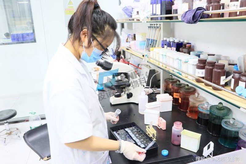 探寻生物科技的微光：无锡企业在创新路上的足迹