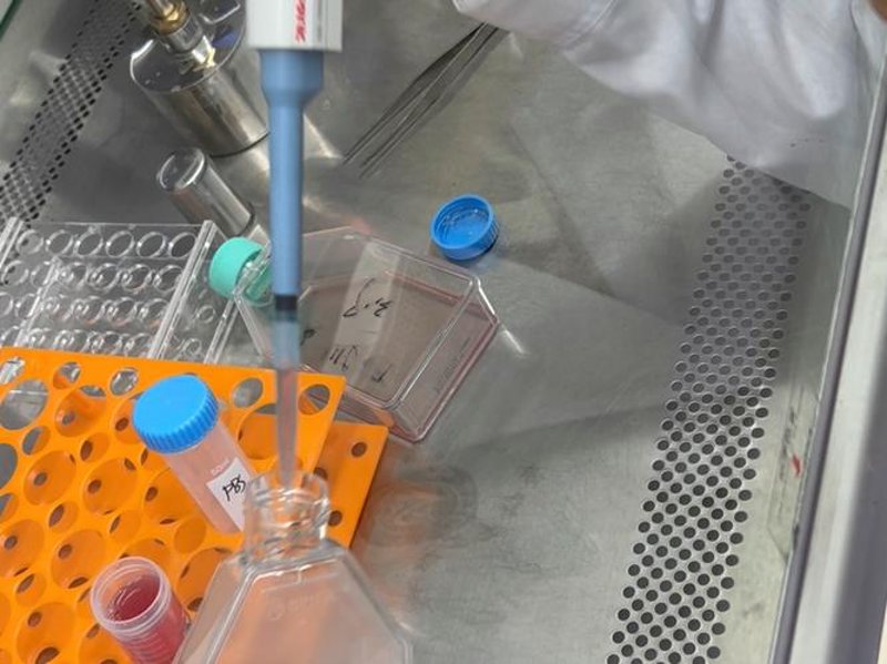 现代生物技术推动医学突破