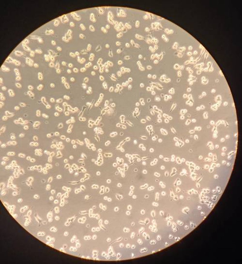 生物科技行业的崭新力作：无锡嬿侣生物科技有限公司