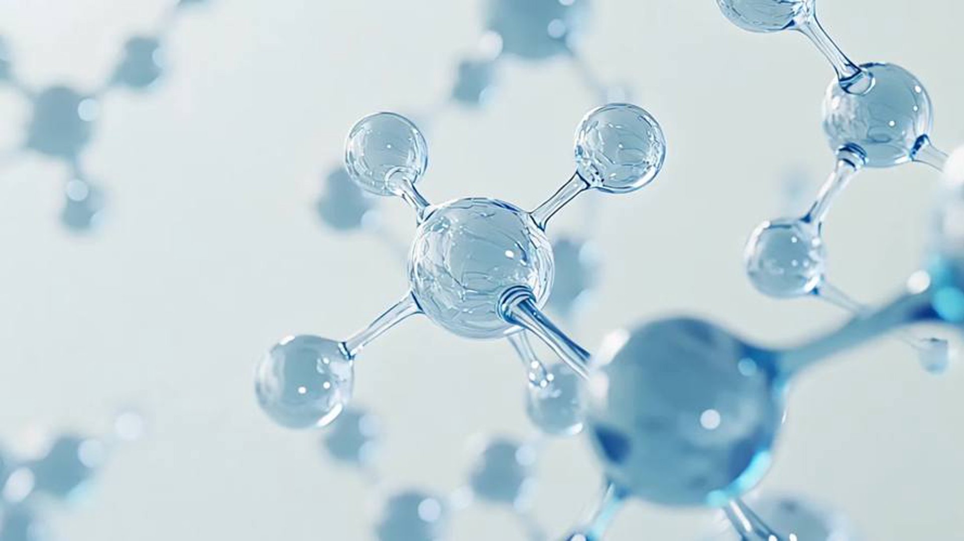 嬿侣生物